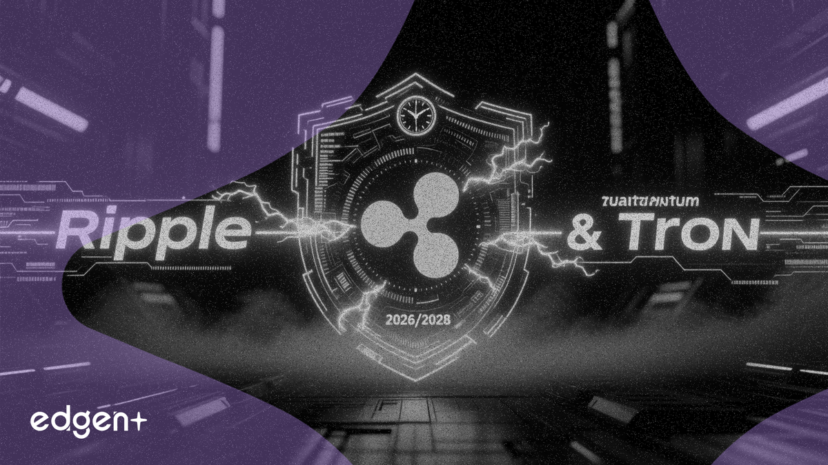 Ripple 設定 2028 年抗量子目標，Tron 推進 2026 年計劃