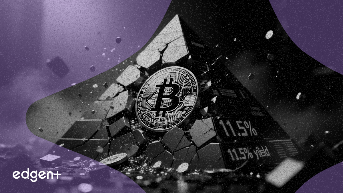 Schiff qualifie le rendement Bitcoin de 11,5 % de Strategy de « chaîne de Ponzi »