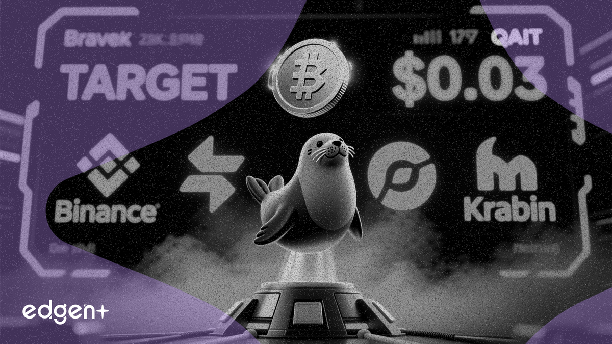 Sealcoin, 3 borsada listeleniyor: QAIT token'ı 0,02-0,03 $ aralığında açılış hedefliyor