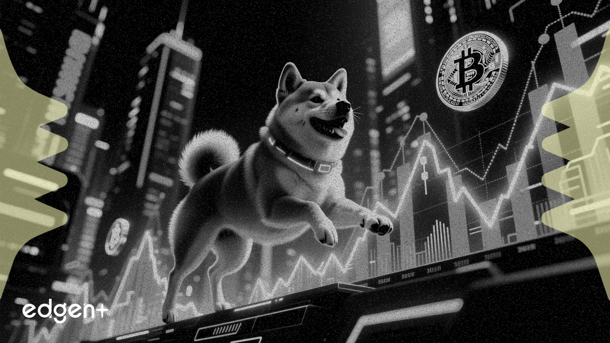 Fiyat Yükselirken Shiba Inu Vadeli İşlemlerine İlgi %9 Arttı