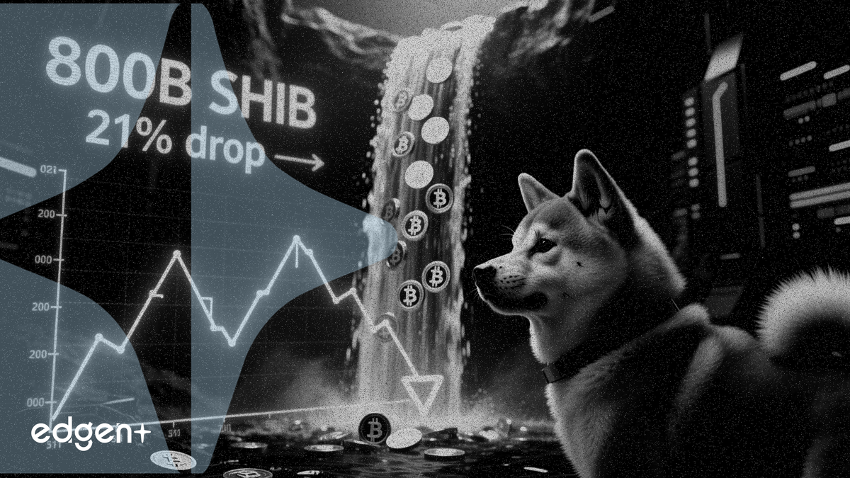 Les flux sortants de Shiba Inu chutent de 21 % alors qu'une baleine déplace 800 milliards de SHIB