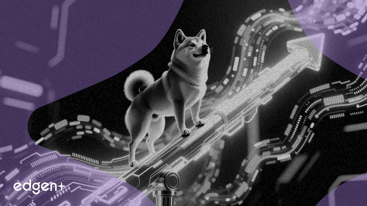 柴犬幣價格形成新支撐位 SHIB 淨流入飆升 76%