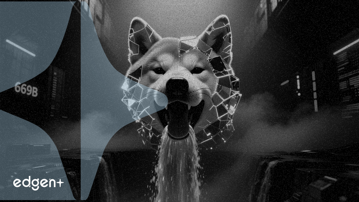 Shiba Inu 单日净流入 6690 亿枚代币，交易所储备激增