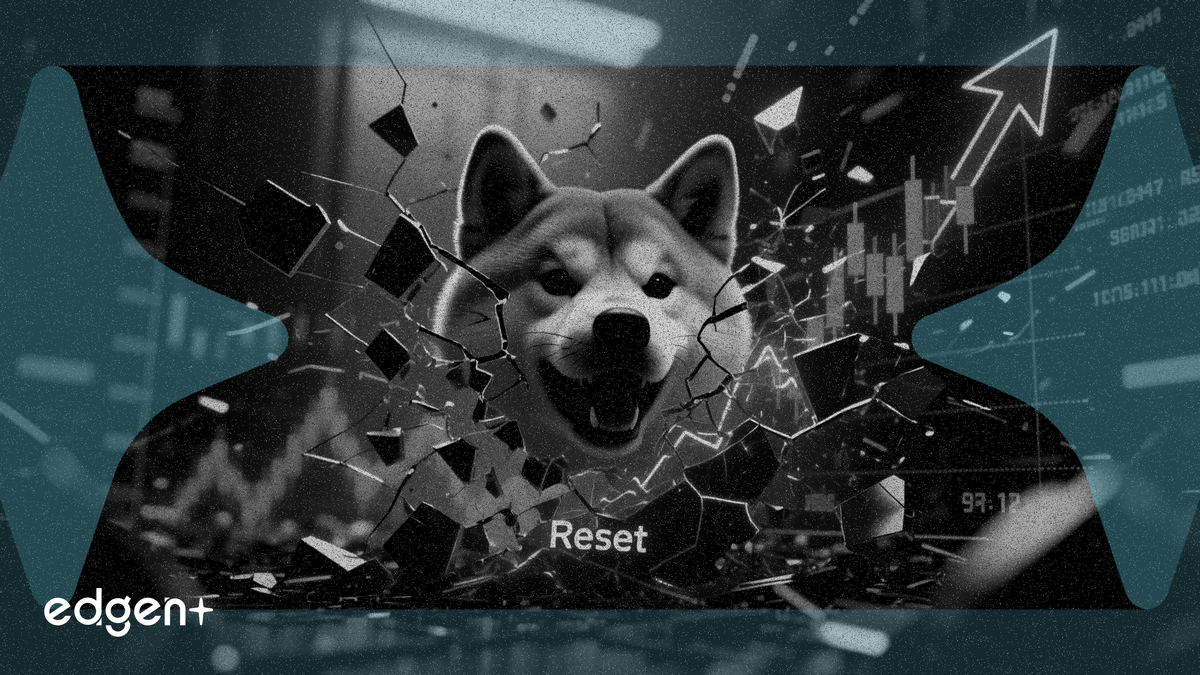 Les transactions sur Shibarium chutent de 1 889 % après une réinitialisation majeure du réseau