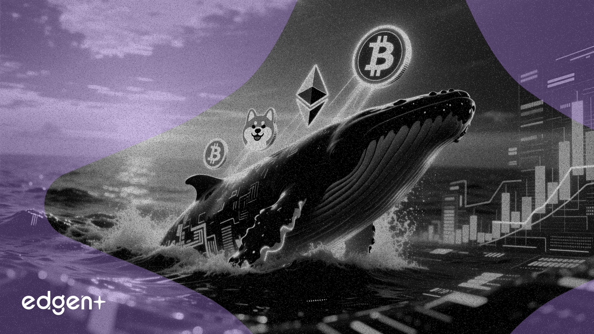 Cá voi thông minh đặt cược 21 triệu USD vào sự phục hồi của Bitcoin, Ether và Dogecoin