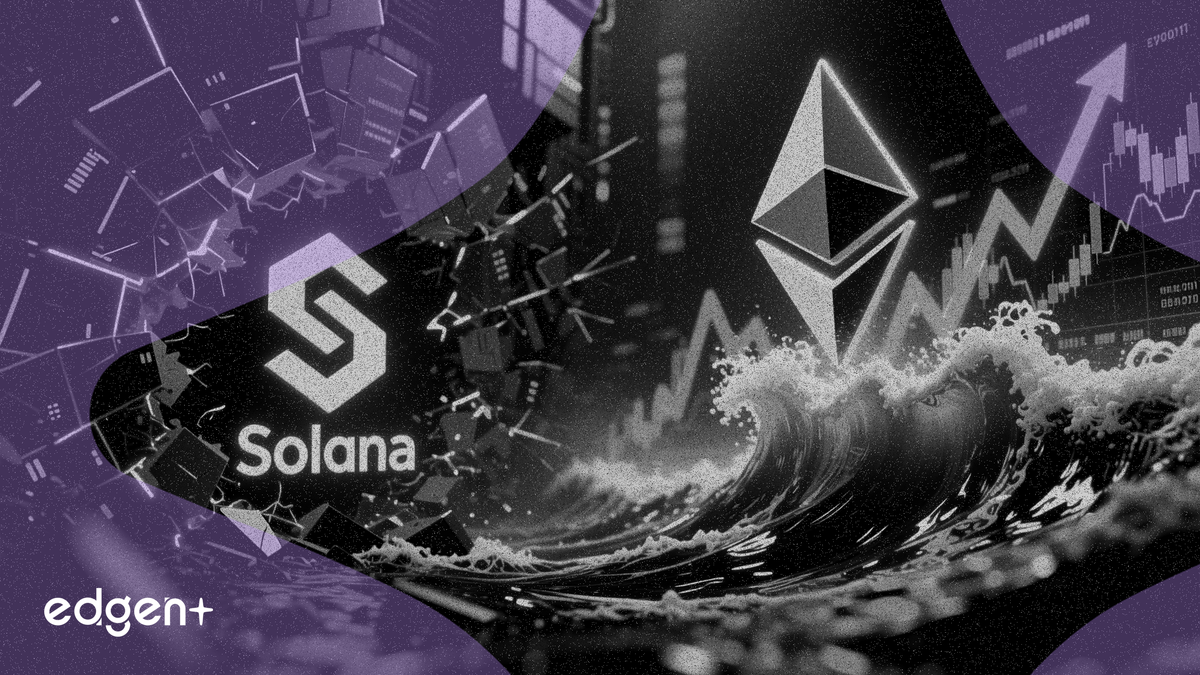 SOL 고래 440만 달러 손실 보고 매도, ETH 고래 1억 1,100만 달러 딥매수