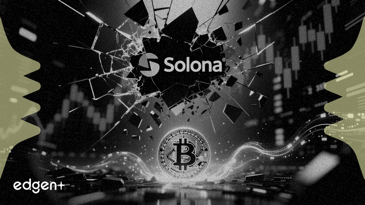 Solana 下跌 71%，加密投資者尋求比特幣避險