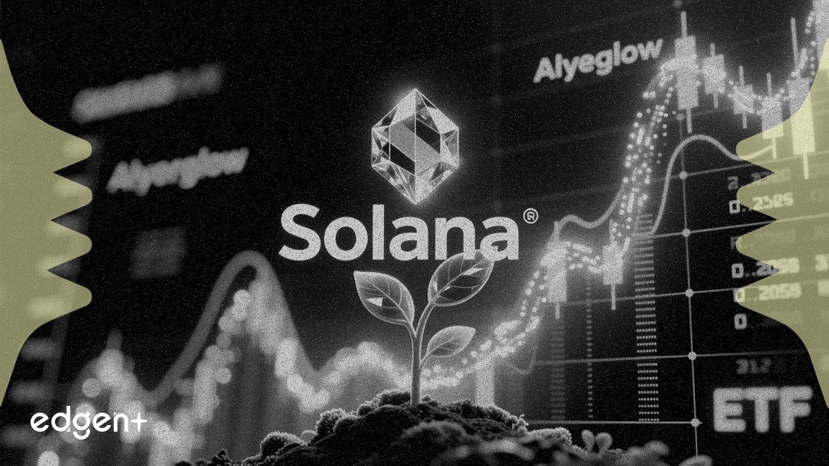 Solana Giữ Vững Trên Mức 85 USD Khi Bản Nâng Cấp Alpenglow Và Dòng Vốn ETF Thúc Đẩy Nhu Cầu
