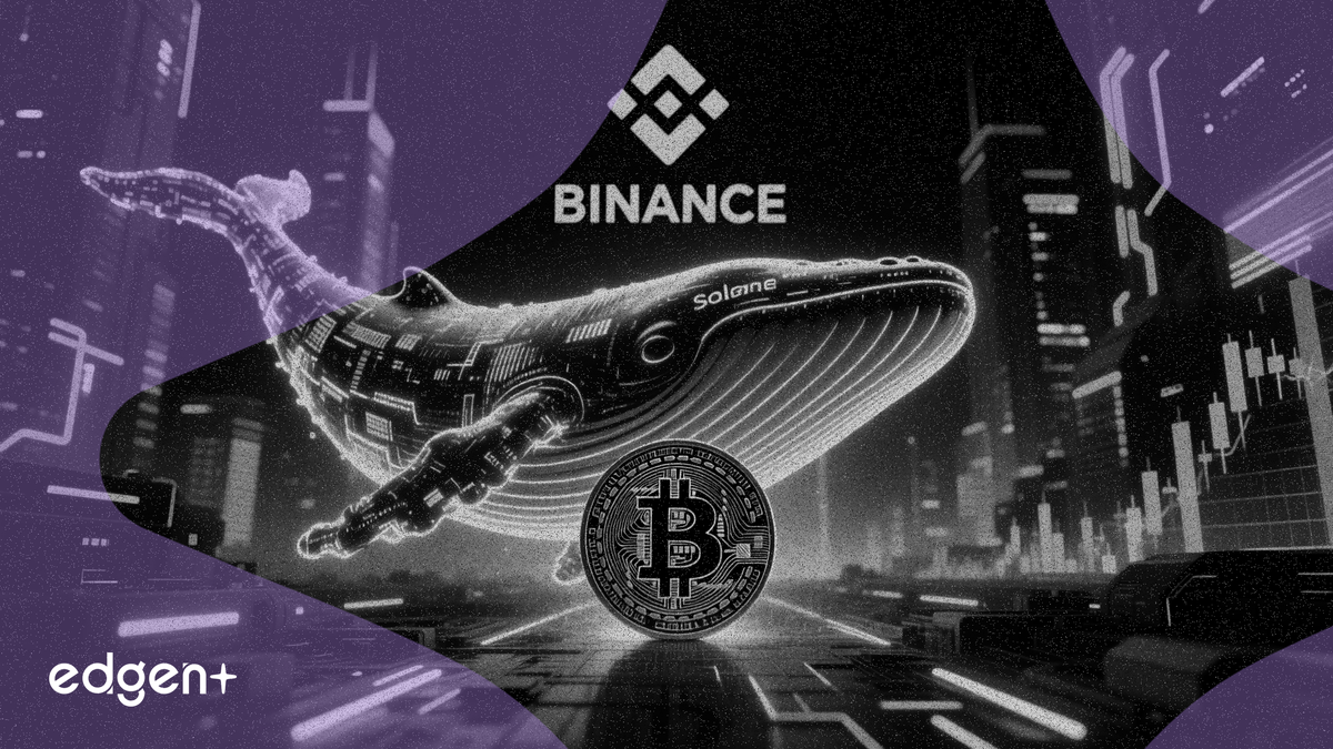 索拉納巨鯨向幣安轉移 300,000 枚 SOL，價值 2600 萬美元