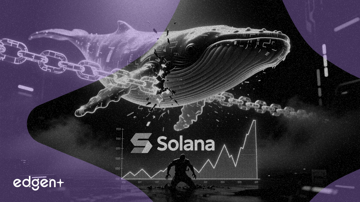 Ballena de Solana desapuesta 163 millones de dólares, el precio se estanca en 90 dólares