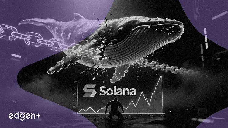 Solana巨鯨解除質押1.63億美元,價格受阻於90美元