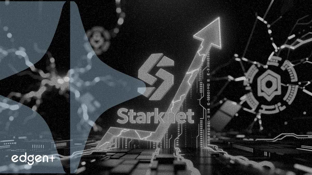 スタークネットが35%急騰、量子計算への懸念でプライバシーコインが全面高