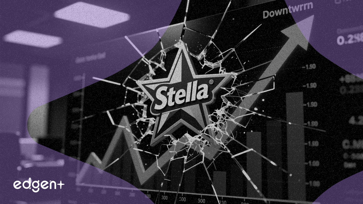 스텔라 홀딩스, 2025년 이익 19.3% 감소로 배당금 삭감