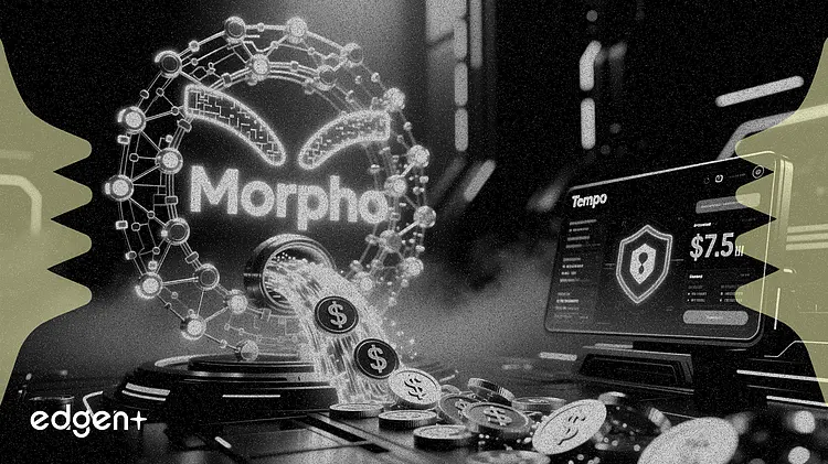Stripe 支持的 Tempo 接入 75 亿美元贷款协议 Morpho 以获取链上收益