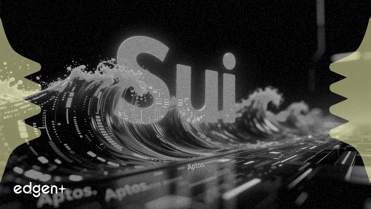 Sui 네트워크 활동 60% 급증, Aptos와의 격차 대폭 확대
