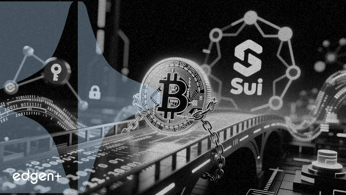 Sui 네트워크, Hashi 프로토콜 통해 DeFi에 네이티브 비트코인 활용 가능하게 해