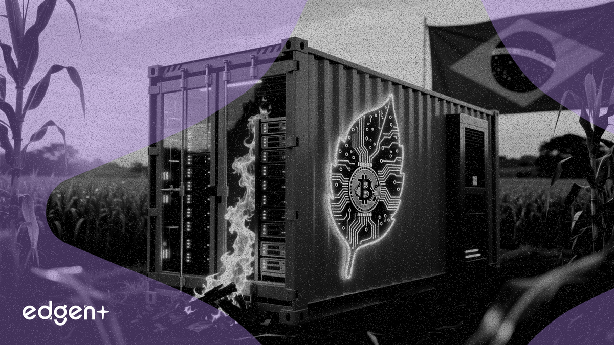 Adecoagro, respaldado por Tether, lanzará mina de Bitcoin de 10 MW usando residuos de caña de azúcar en Brasil