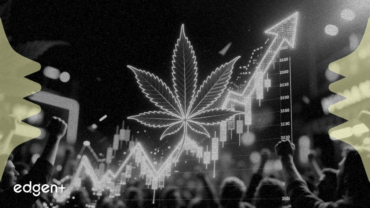 大麻のスケジュール変更が市場の反発を呼び、ティルレイ株が10％上昇