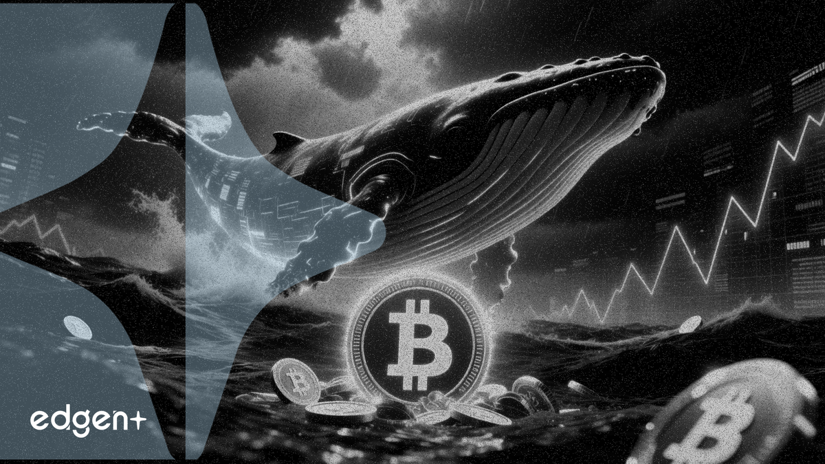 Ví cá voi Toncoin gom thêm 189.730 TON giữa lúc thị trường khó khăn