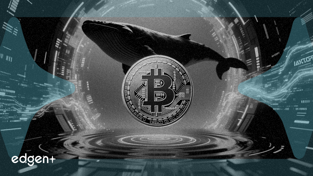 TRUMPトークンのクジラ、222万枚をバイナンスに入金