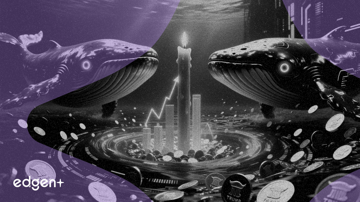 Two Whales Accumulate $5.6M in TRUMP Tokens in Two Days