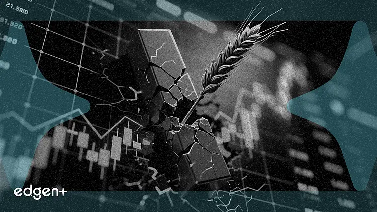 United Natural Foods falls 12% as Q3 revenue misses analyst estimates