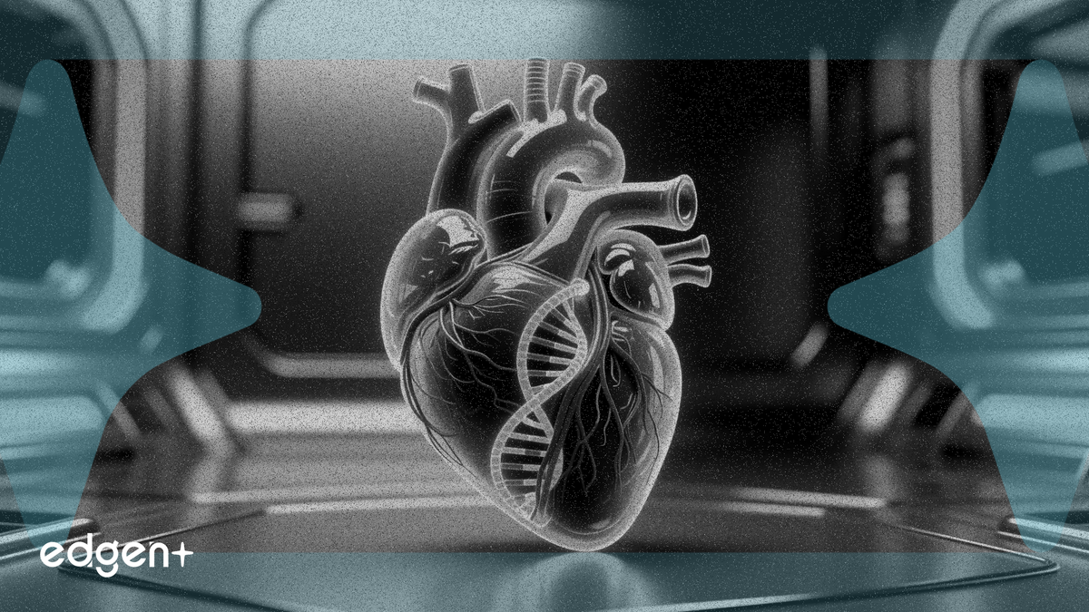 United Therapeutics to trial pig hearts in humans after FDA clearance