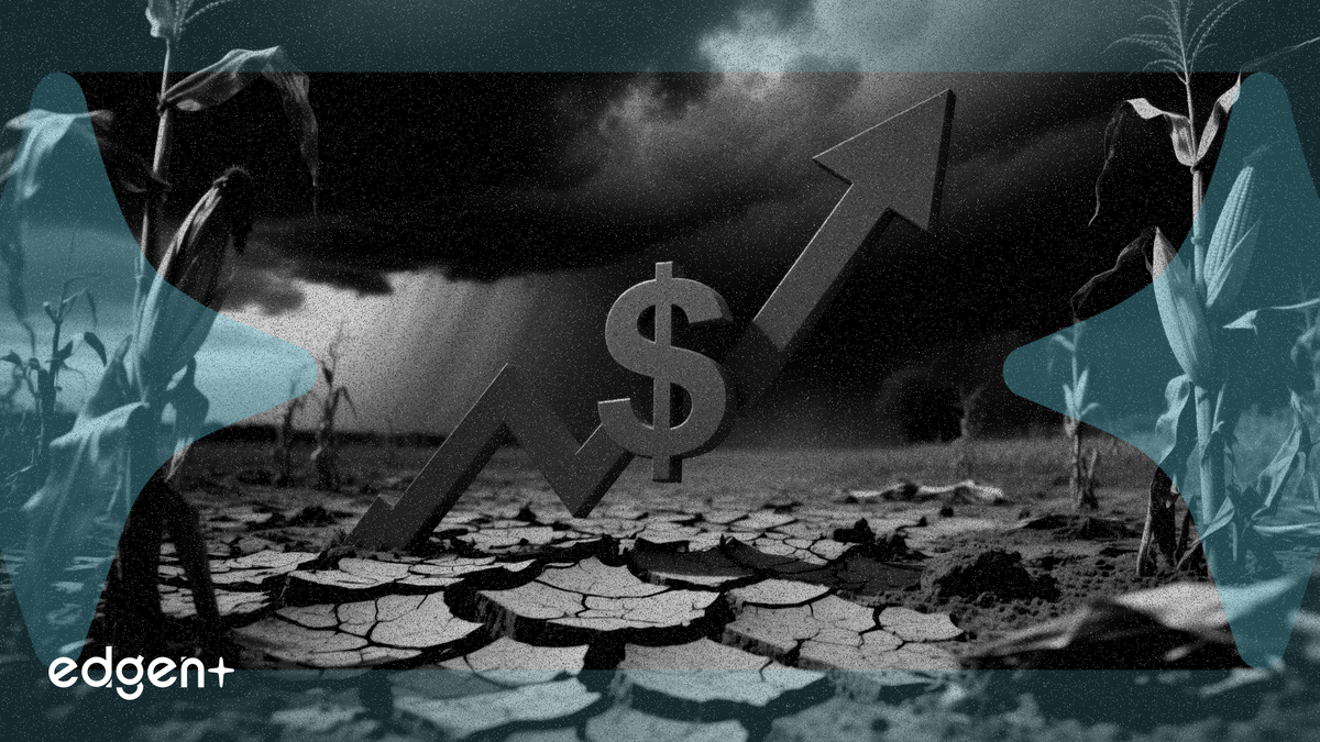 旱情波及全美 51% 的州，美国食品价格将进一步上涨