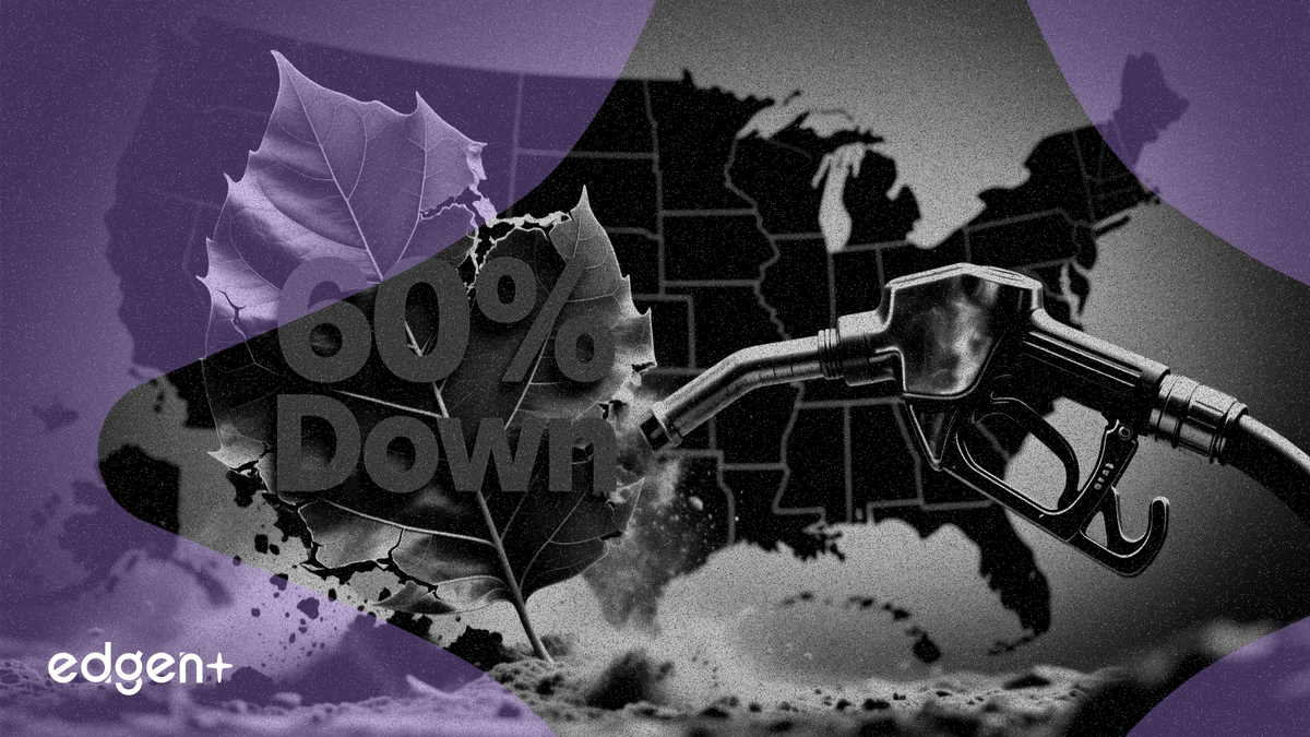 美國將生物柴油強制摻混比例提高逾60%