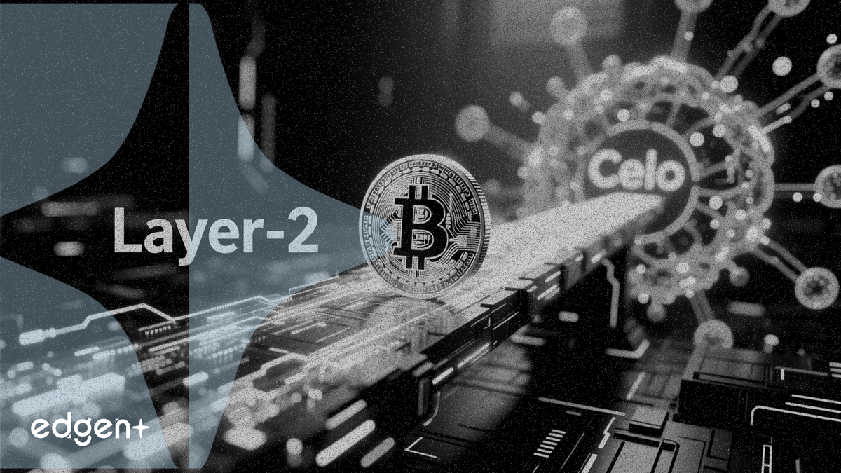 USAT 스테이블코인, 셀로 블록체인으로 확장... 첫 레이어-2 진출