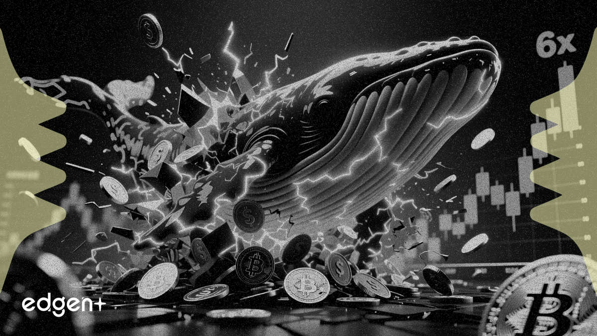 Whale account grabs 11.7% of BNB Life supply after 6x price jump