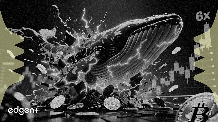 巨鲸账户在价格暴涨6倍后大量吸筹,占BNB Life供应量11.7%