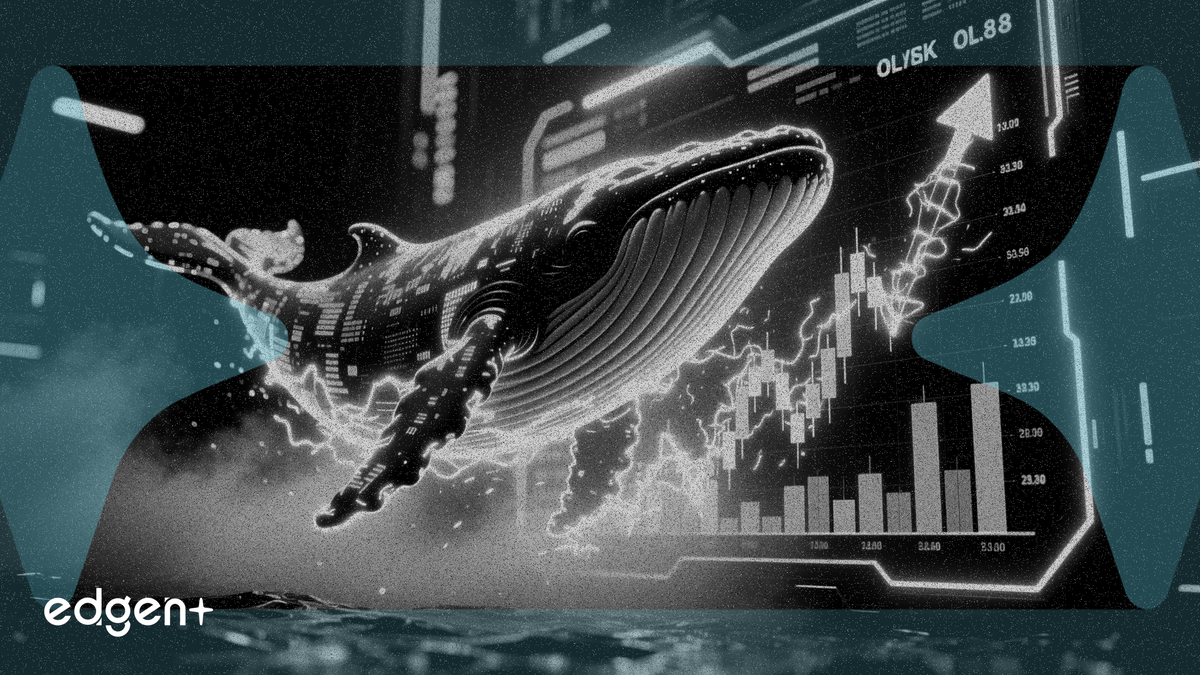 Whale Adds $1.2M to Defend $13.6M Oil Short on Hyperliquid