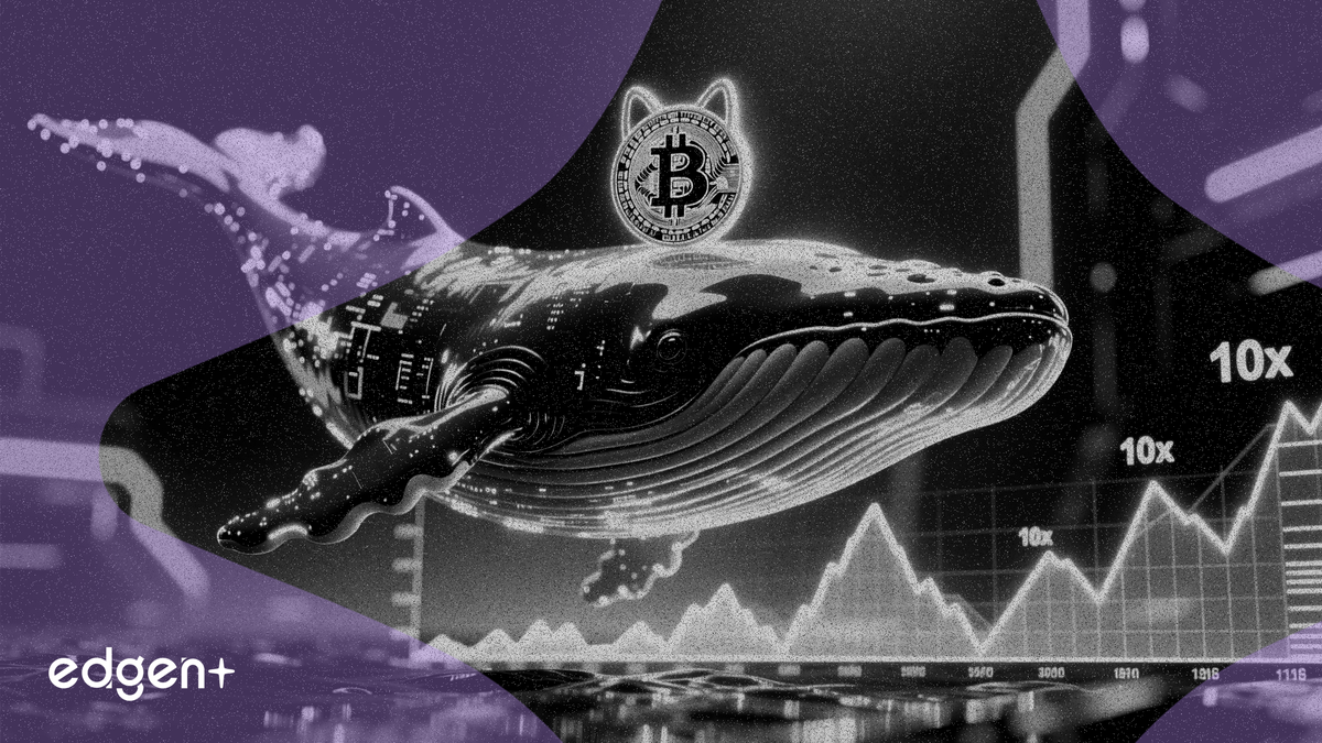 Una ballena apuesta 44 millones de dólares en Dogecoin con un apalancamiento de 10x