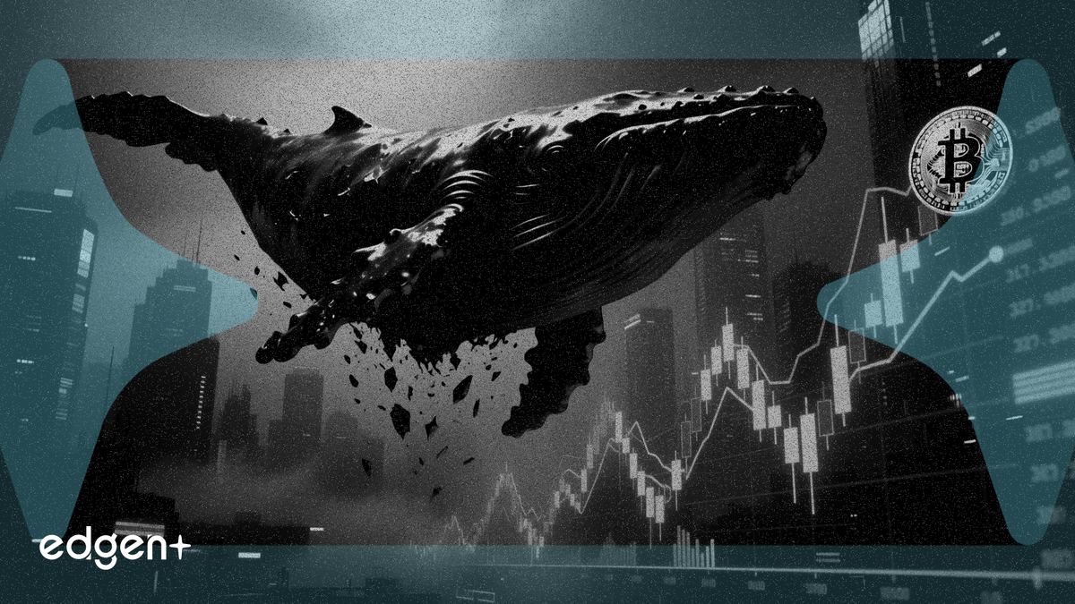 Ballena apuesta 53 millones de dólares contra Bitcoin ante el aumento de los temores de recesión