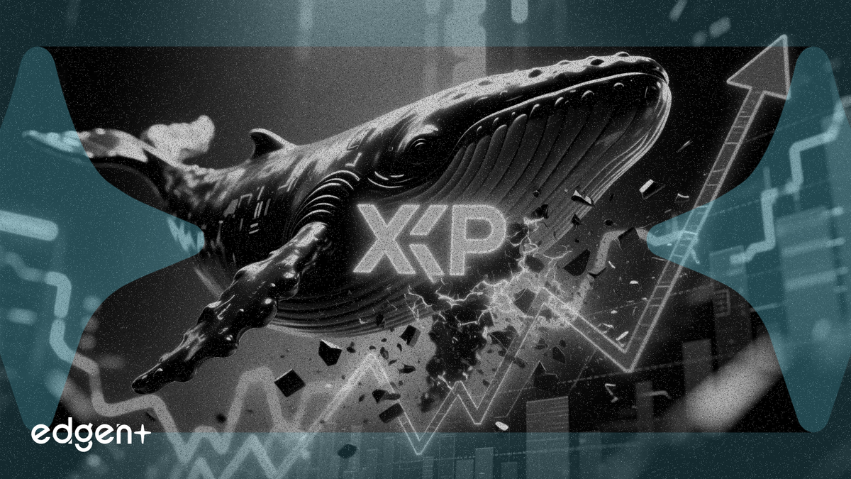 巨鯨購入3500萬美元XRP，逆勢對抗普遍拋售