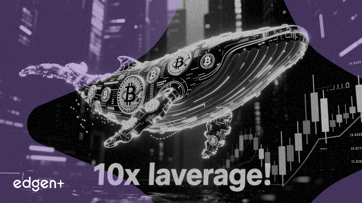 Cá voi mở vị thế mua Bitcoin trị giá 57 triệu đô la với đòn bẩy 10 lần