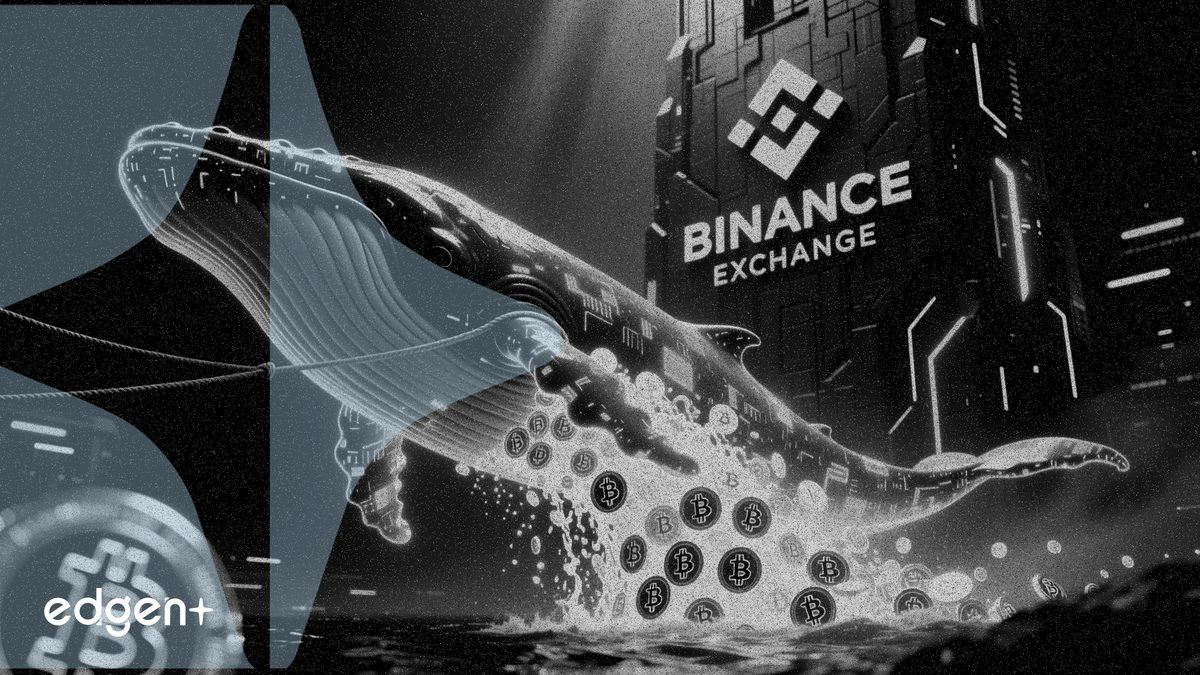 Cá voi rút 15,9 triệu USD altcoin khỏi sàn giao dịch Binance