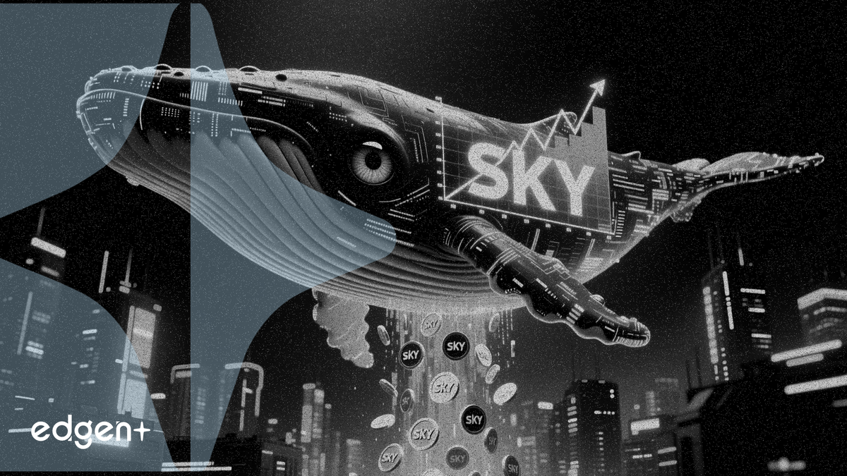 巨鯨準備出售380萬美元SKY代幣，此前已獲58%收益