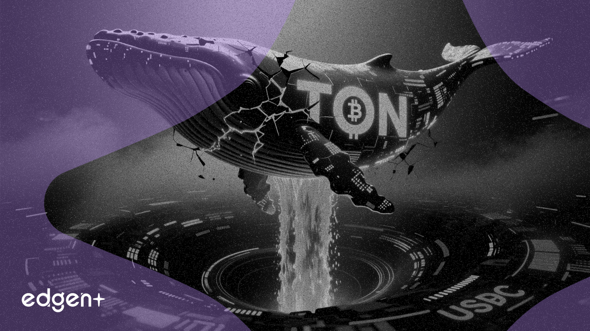 Une baleine vend à découvert 22 millions de dollars de TON après avoir déposé 8 millions d'USDC sur Hyperliquid