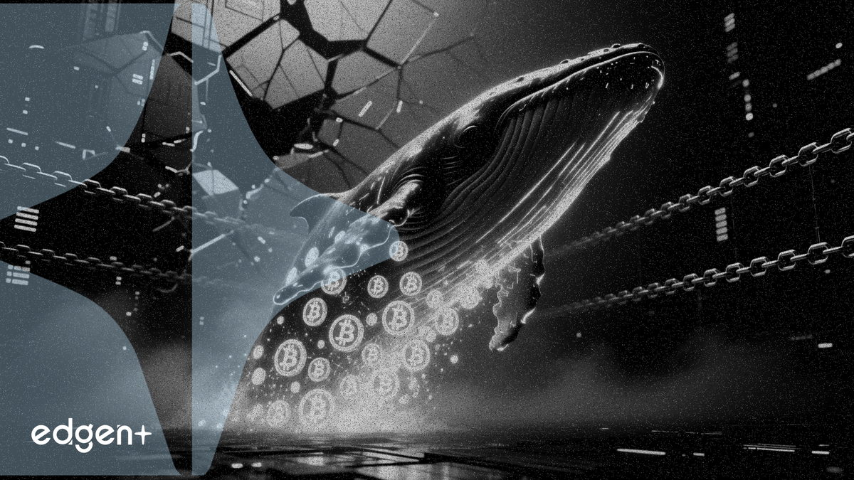 Les baleines ajoutent 79 000 BTC en positions longues, signalant un choc d'offre