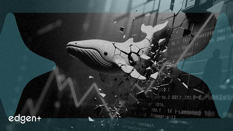 White Whale Token, CTO Ayrılığı Sonrası %55 Çakıldı