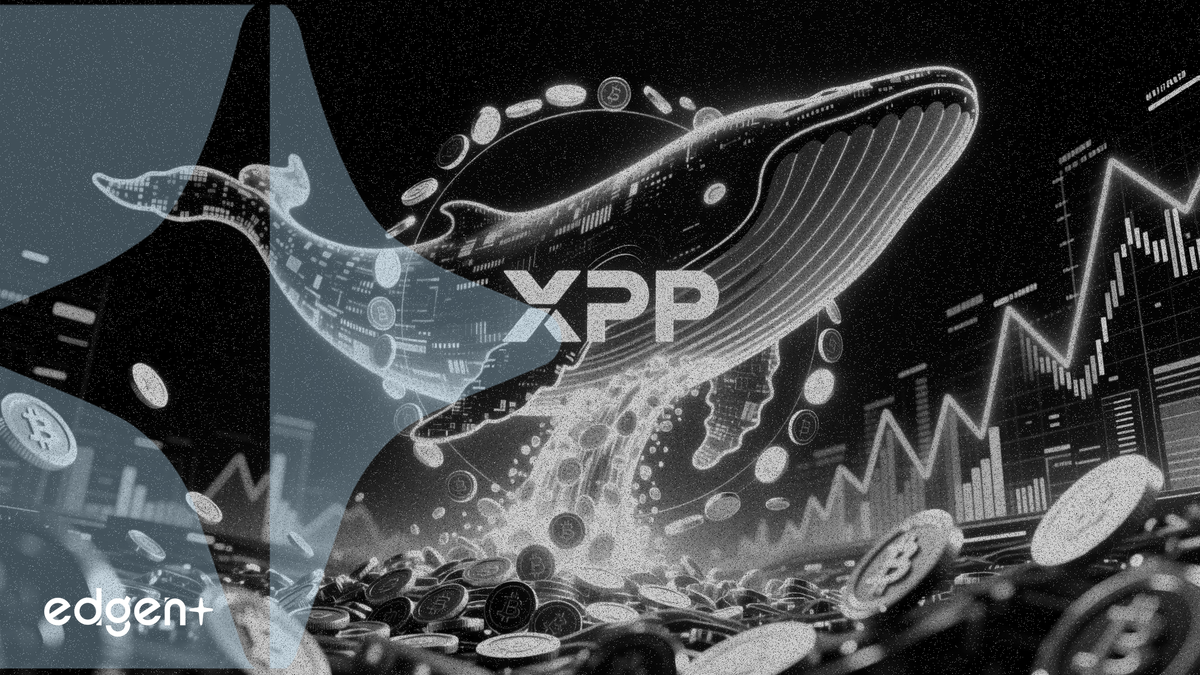 XRP tăng 7% lên 1,46 USD khi các ví cá voi tích lũy thêm 360 triệu token