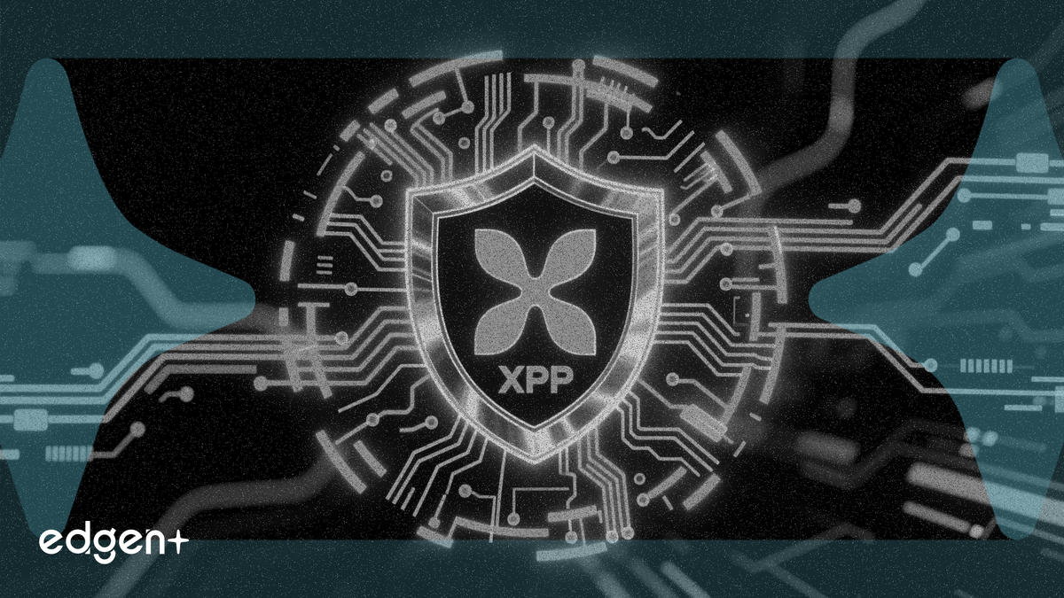 XRP Ledger, yeni denetimde %99 kuantum güvenli derecesi aldı