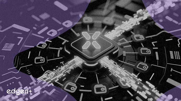 XRP 네트워크, 자금 유입 엇갈리는 가운데 지갑 4,300개 추가