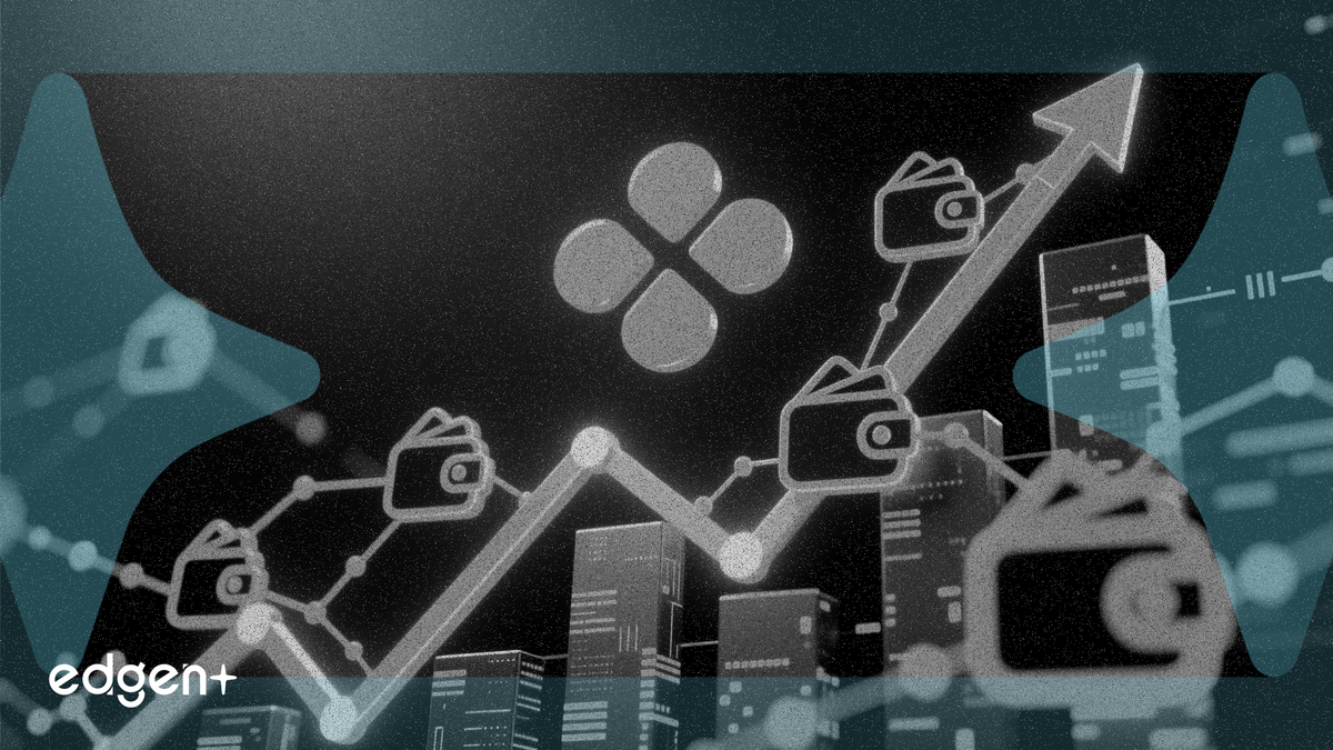 XRP 네트워크 성장 급증, 24시간 만에 4,300개 신규 지갑 생성