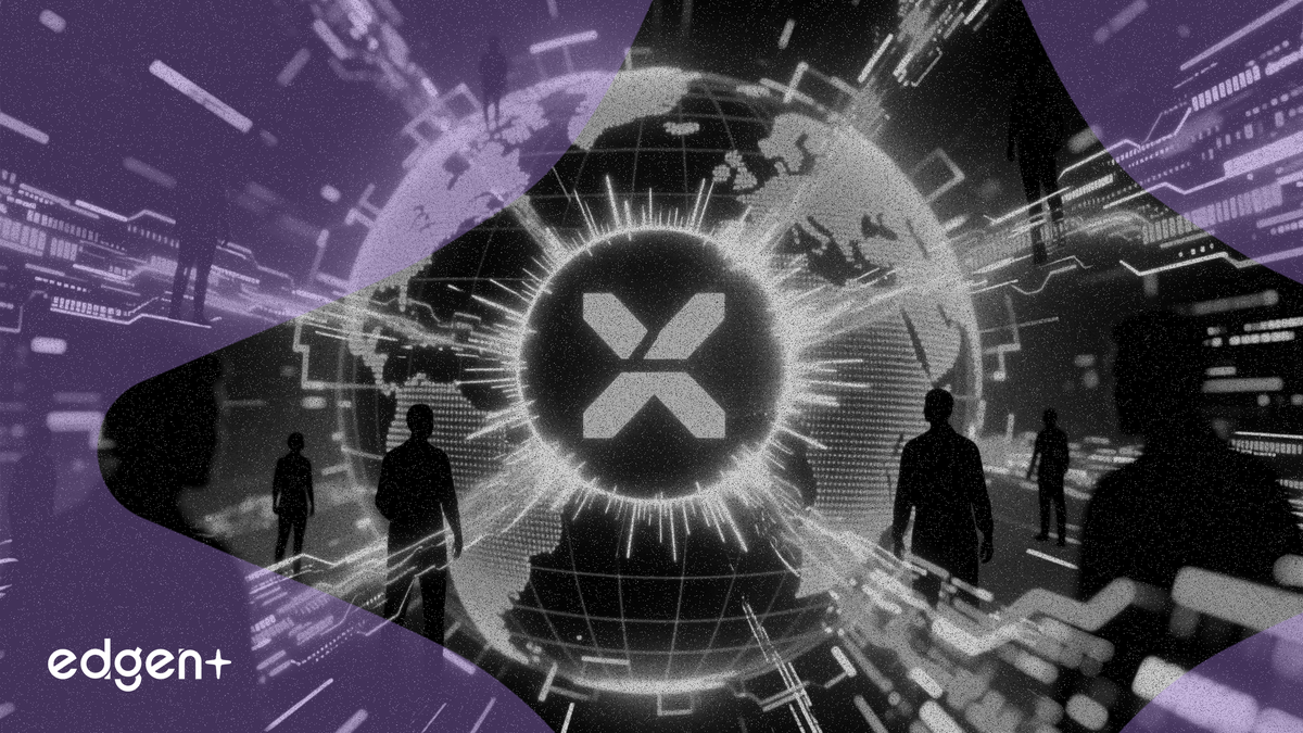 Mạng XRP Vượt Mốc 200.000 Người Dùng Hoạt Động Trong Bối Cảnh Khối Lượng Giao Dịch Tăng Vọt