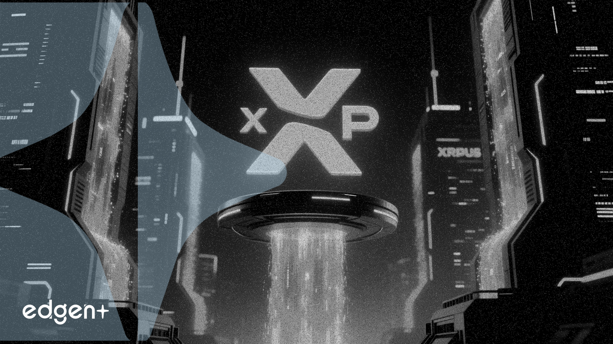 XRP 價格持穩於 1.34 美元附近，交易所流出 70 億枚代幣