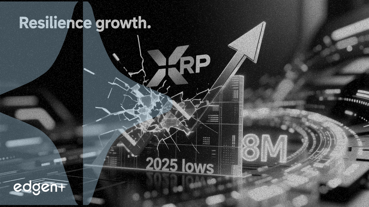 XRPのウォレット数が800万を突破、価格は2025年の安値から反発