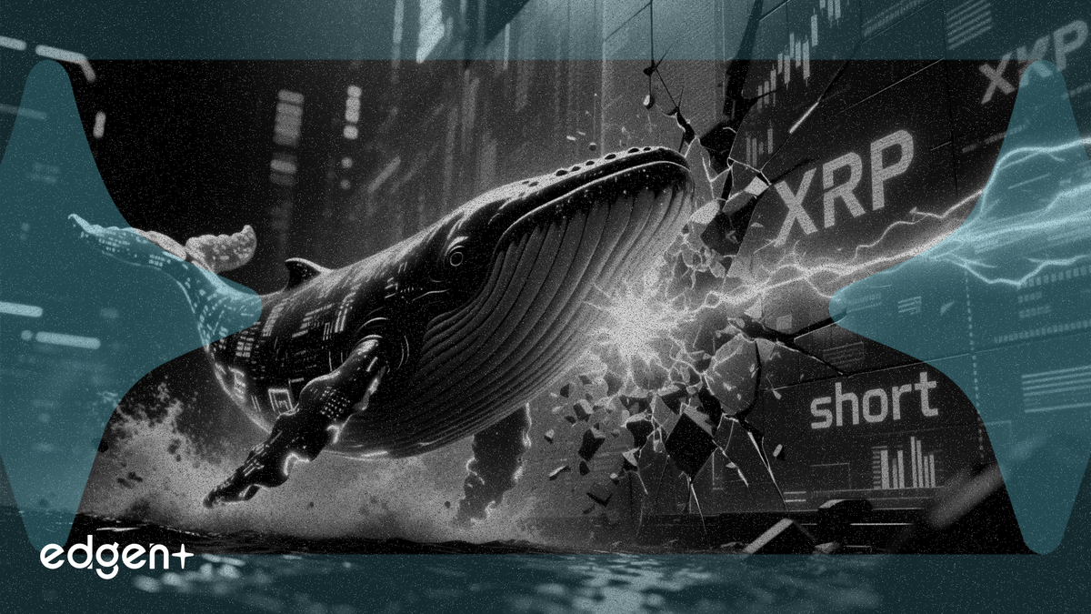 XRP 고래, 1억 달러 규모 숏 벽에 맞서 760만 달러 롱 포지션 구축